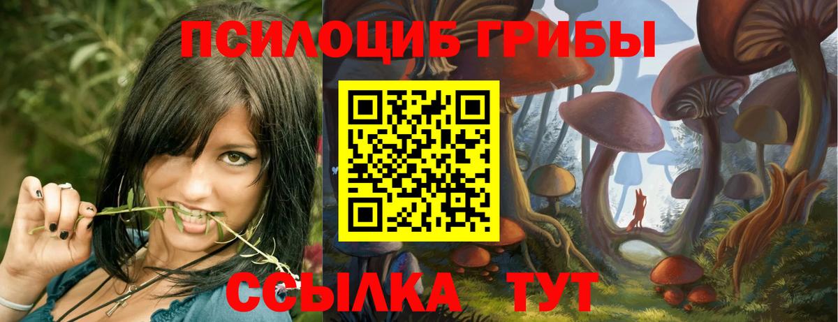 Галлюциногенные грибы Psilocybe  Галлюциногенные грибы мухоморы  Вход с VPN  Бугуруслан 
